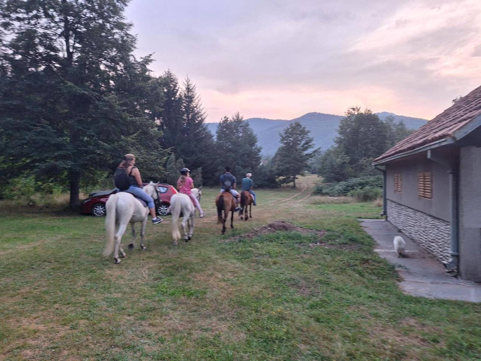 Appartamento Pine Corner Mojkovac Esterno foto